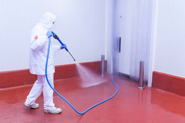 Best Driveway Pressure Washing  in Woodland Beach, MI